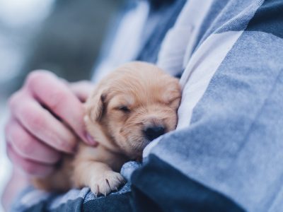 lydia-torrey-563689-unsplash.jpg lydia-torrey-563689-unsplash.jpg
